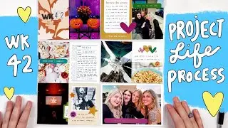 Project Life Process 2024- Week 42