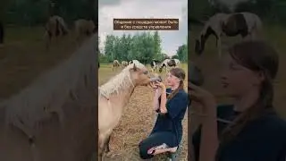 Света с Шерифом играют