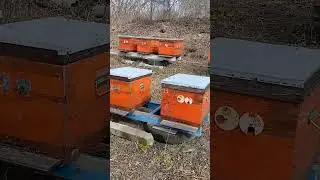 Наконецто Полетели 18.03.2024год
