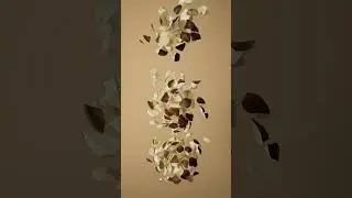 Nuts Explosion  