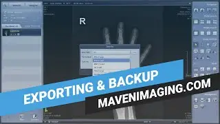 Rayence Part 8 -  Exporting & Backup