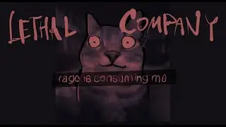 Why is the company so lethal 2