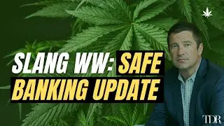 Slang WW: SAFE Banking Update