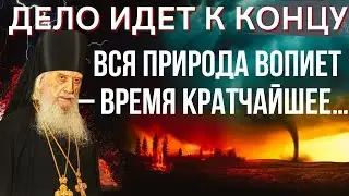 Дело идет к концу, вся природа вопиет – время кратчайшее.