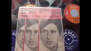 Richard Anthony  Sunny Italian Version