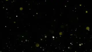 background video effects|black screen video template for kinemaster|kinemaster editing