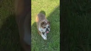 Когда есть🔥сплетни 🤣