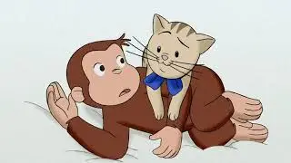 Curious George The Inside Story