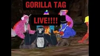 GORILLA TAG STREAM!! Code is liamvr10012