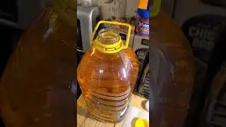 Fermenting Apple Juice!