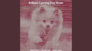 Inspiring Relaxing Dogs