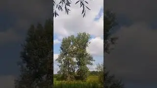 БЕРЕГИТЕ ПРИРОДУ