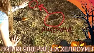Встретили ЯЩЕРИЦ в ХЕЛЛОУИН / Ловля ящериц