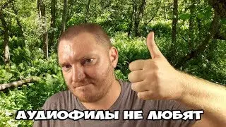 Почему аудиофилы не любят эквалайзер?