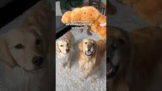 Saying goodbye to our friend 😞 