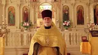 Orthodox Sermon - God touches us