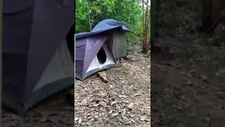 Cewek dan cowok Nginap di tenda camping 🎪