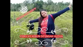 PERGI KE KEBUN DI TENGAH HUTAN | NEKAD JUGA YA