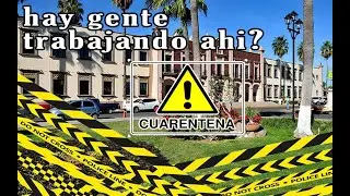 cuarentena en la unison #covid19 #cuarentena #gokueslaley