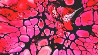 563 - Mo's Color Palette Challenge Bloom @lisamarvinart | #acrylicpouring #paintpouring