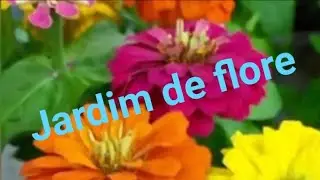 Fotos de lindas flores de jardim