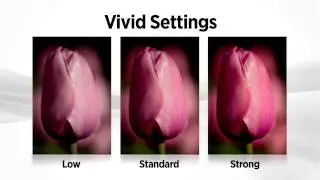 Canon EOS 60D Tutorial - Basic Plus Feature 8/14