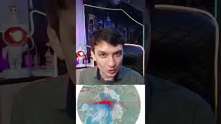 Магнитный полюс