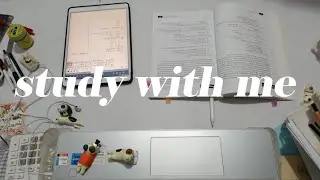 Study With Me Live  / Pomodoro 50/10 / Rain Sounds 125