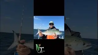 My first bonito! Fast fish. #fishing #shorts #reels #nature #outdoors #ocean #saltlife