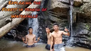 Looking for a waterfall in the forest with friends.#natural #waterfall #cool #explore