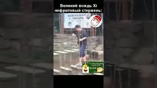 миска риса огромный смех кошка жена