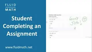 Completing An Assignment in FluidMath