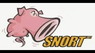 Explicación de IDS e IPS + Instalación y configuración de Snort en Ubuntu server 20.04 LTS