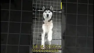 Привет! А мне так грустно ...