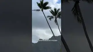 Минусы жизни на Гавайях 😩 
