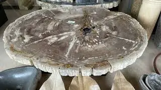 Fossilized Beauty: The Allure of Natural-Edged Coffee Tables #rusticfurniture #livingroomfurniture