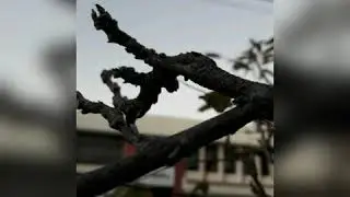 Fotos tiradas com o samsung j7