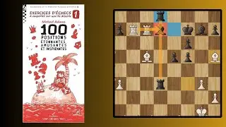 100 POSITIONS ETONNANTES, AMUSANTES et INSPIRANTES [Résumé du LIVRE]
