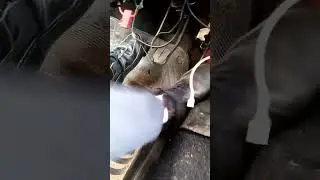 Заброшенная жига