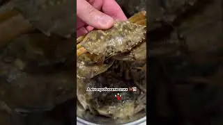 Черноморский КРАБ 🦀 #seafood #раки #ракиоки #рецепт #краб #крабы #крабыживые #крым2024