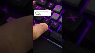 CÓMO RECORTAR LA CÁMARA EN OBS 