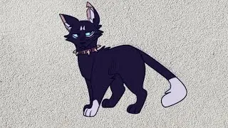 Коты воители. Клип Бич-Я знаю точно наперед