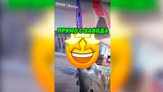 💲СКОЛЬКО СТОИТ ИНВЕНТАРЬ MRBEAST В КС2 