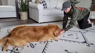Tucker Learns How to Army Crawl! - Tucker Budzyn Video