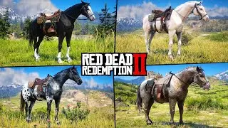 All GANG Members Horses in Red Dead Redemption 2