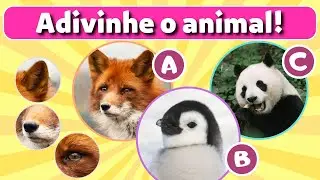 🐶Descubra qual é o animal só com 3 pistas! Só os mais atentos conseguem !