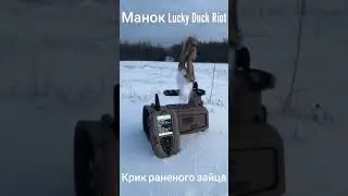 Крик раненого зайца и визуальная приманка - работает манок Lucky Duck Riot