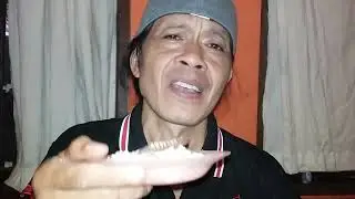 Nasi Penyebab Kucing Mencret?