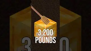 Minecraft Bees Go HARD! 💪 