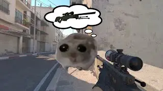 When you play cs 2 | sad hamster meme violin